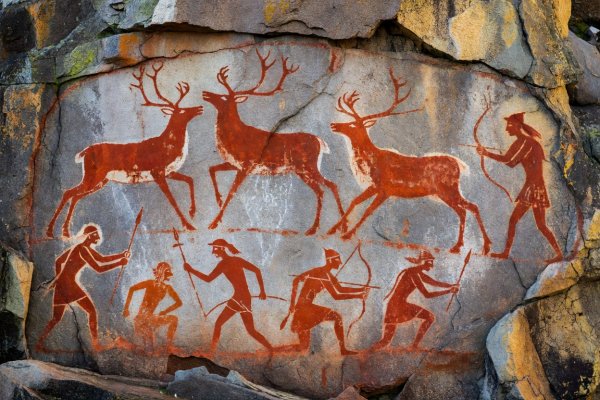 Prehistoric rock carvings of reindeer and hunters painted in red ochre at Alta Museum